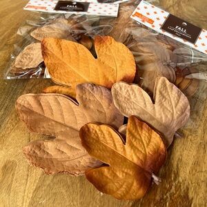 Realistic Fall Autumn Leaves Bundle